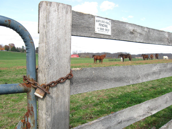 Horse Country Maryland